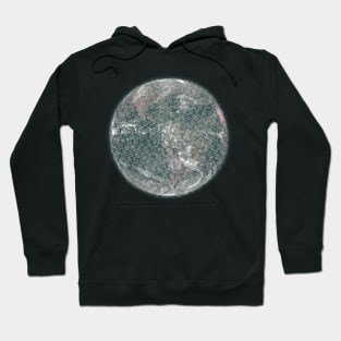 More plastic, Less planet (planet only) Hoodie